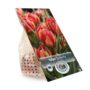 product-272367-1788553930-DEV01-0000030^2